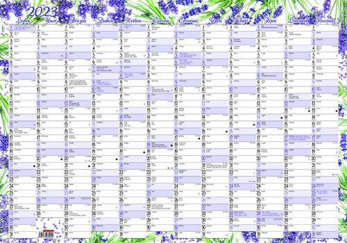 Nástěnný roční kalendář (600x420 mm) - Levandule 2023