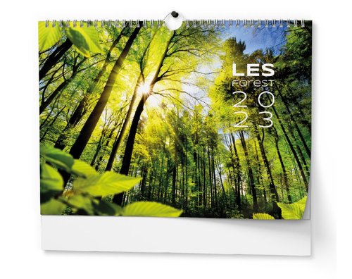 Nástěnný kalendář 2023 - Les