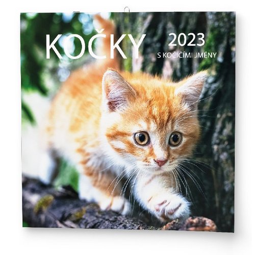 Nástěnný kalendář 2023 - Kočky