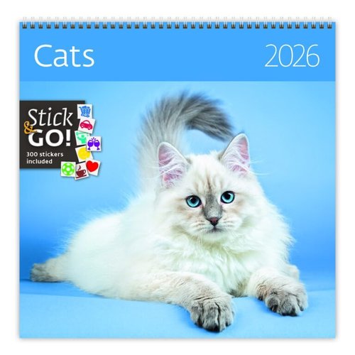 Kalend Cats