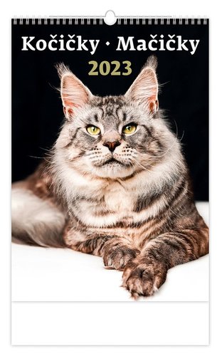 Helma Kalendář nástěnný 2023 - Kočičky/Mačičky