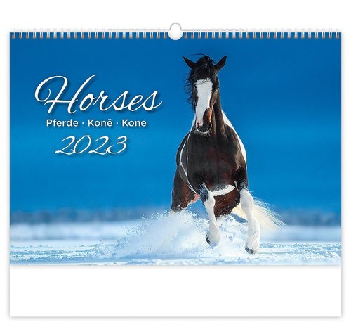 Helma Kalendář nástěnný 2023 - Horses/Pferde/Koně/Kone