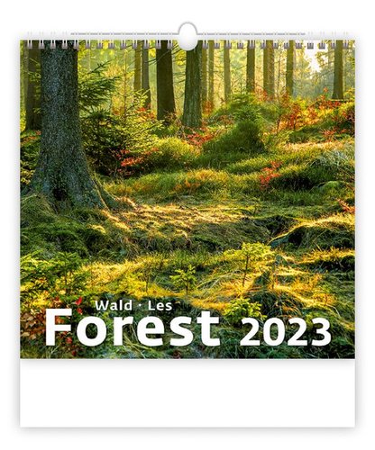 Helma Kalendář nástěnný 2023 - Forest/Wald/Les