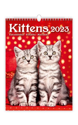 Helma Kalendář nástěnný 2023 - Kittens/Katzenbabys/Koťátka/Mačičky