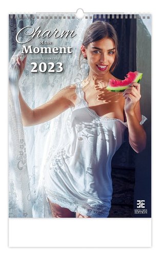 Helma Kalendář nástěnný 2023 - Charm of the Moment