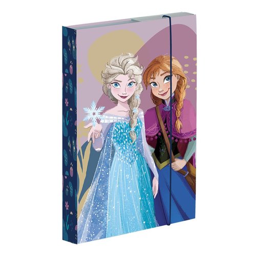 Box na seity A4 Frozen