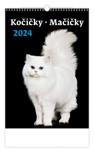 Stil Kalendář Kočičky 2024