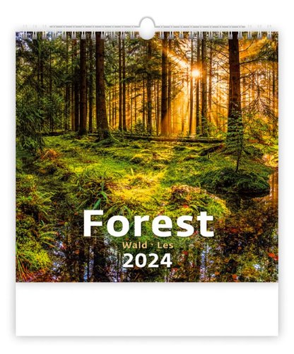 Stil Kalend Les 2024