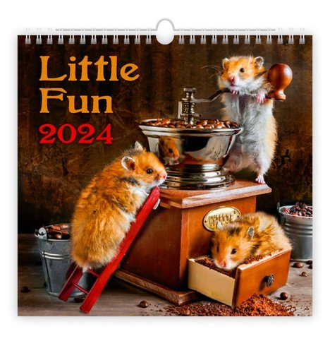 Stil Kalendář Little Fun 2024