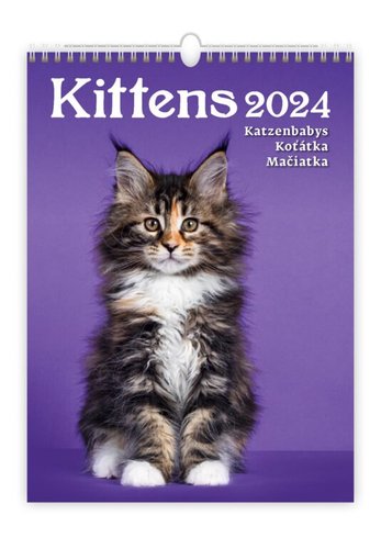 Stil Kalend Kotka 2024