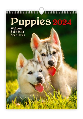 Stil Kalend ttka 2024