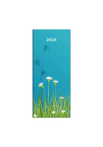 Stil Msn di Napoli design 1 2024