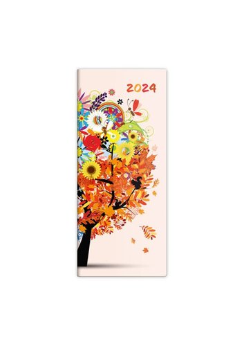 Stil Msn di Napoli design 2 2024