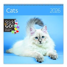 Kalend Cats