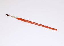 ttec Tempus kulat lak 6