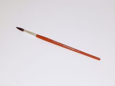ttec Tempus kulat lak 7