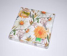 Ubrousky DAISY L (20ks) Pampeliky a lun kvt