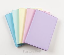 Karton P+P Obal na vrnostn karty MINI PASTELINI assort