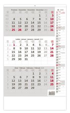 Stil Tříměsíční kalendář šedý s poznámkami 2024