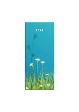 Stil Msn di Napoli design 1 2024